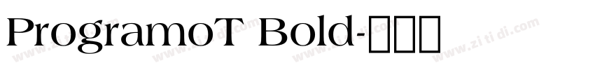 ProgramoT Bold字体转换 ProgramoT Bold字体转换